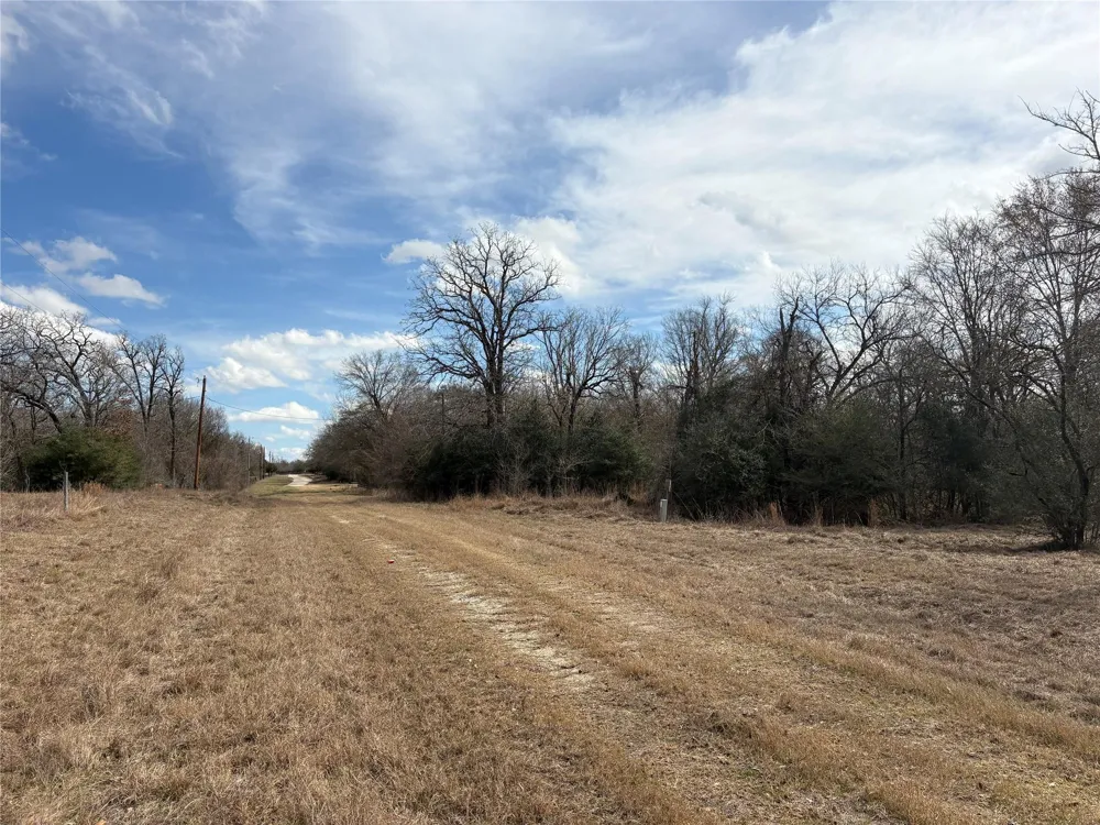 1649 Stone Street Bedias, TX 77831