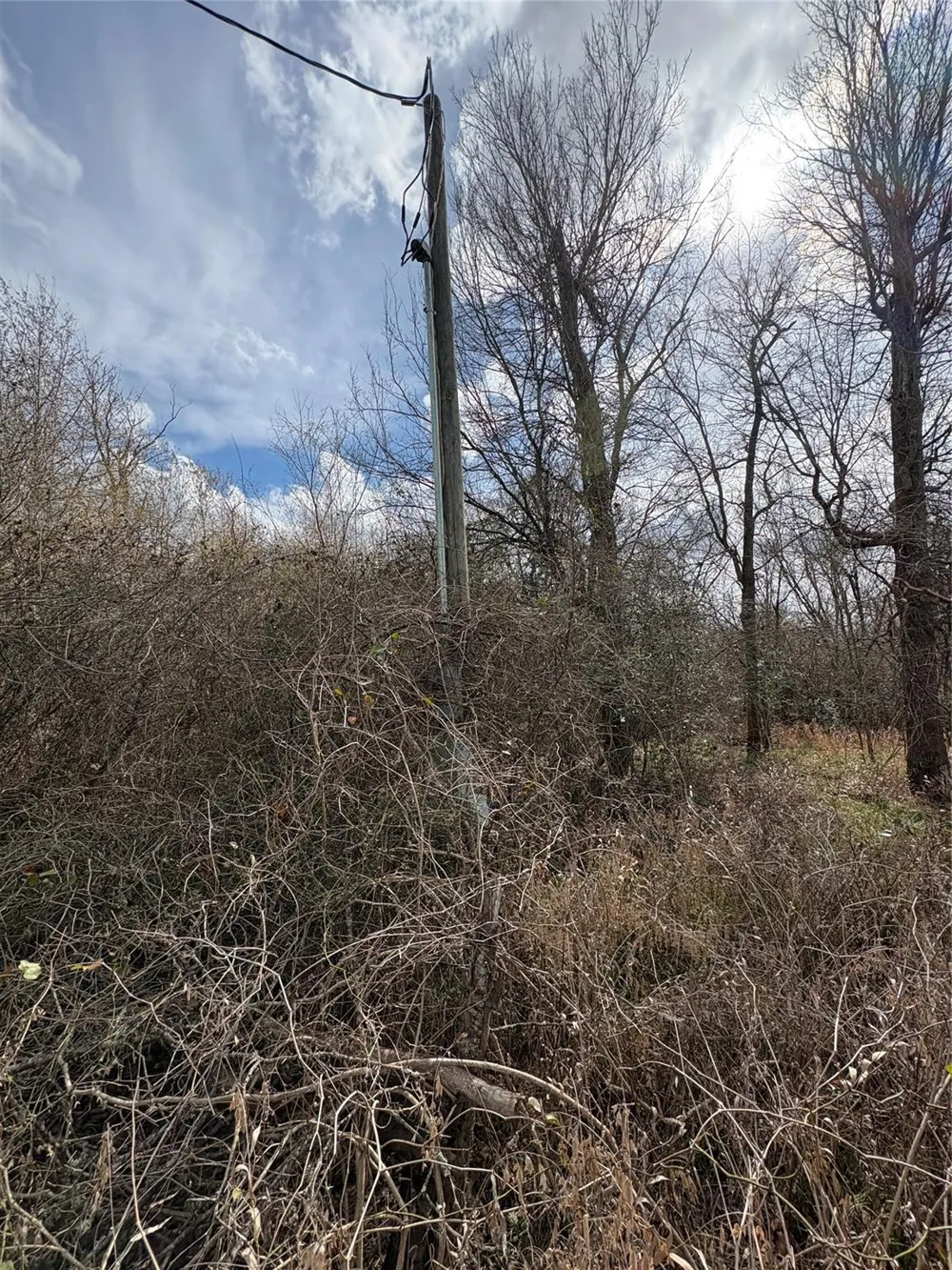 1649 Stone Street Bedias, TX 77831