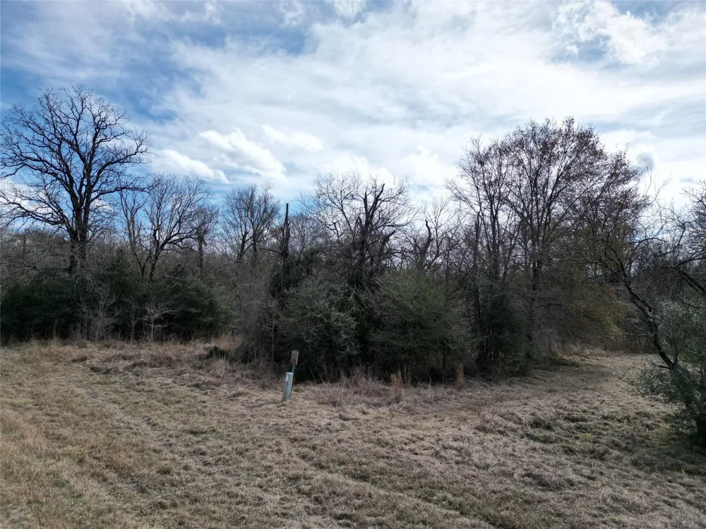 1649 Stone Street Bedias, TX 77831