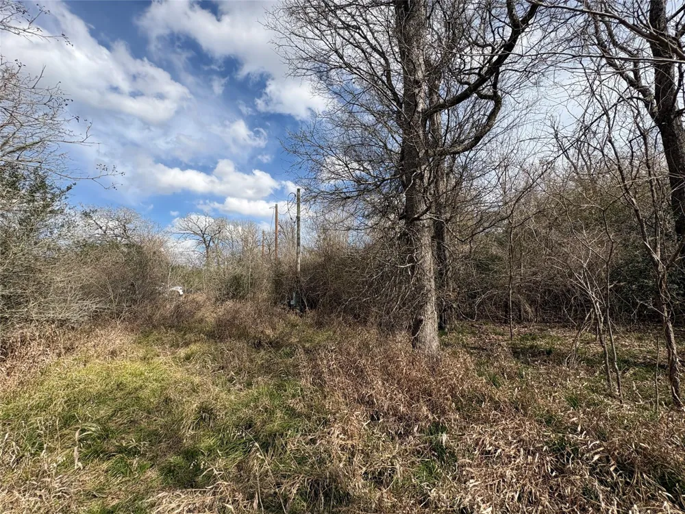 1649 Stone Street Bedias, TX 77831