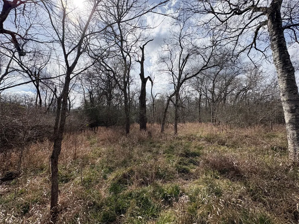 1649 Stone Street Bedias, TX 77831