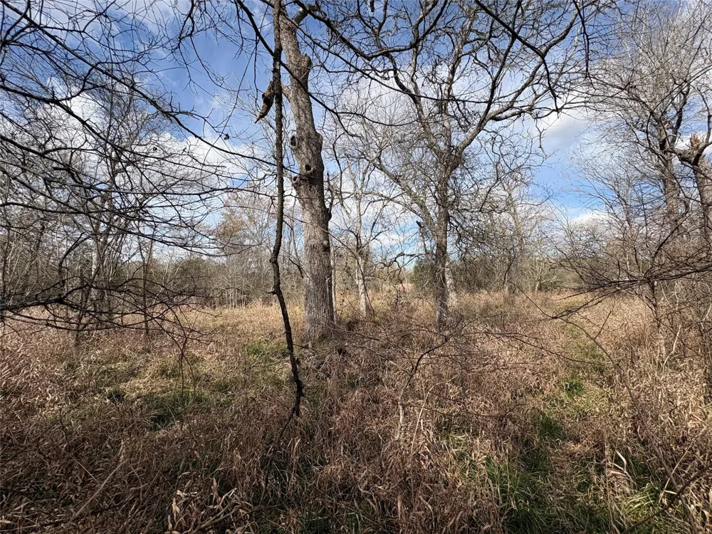 1649 Stone Street Bedias, TX 77831