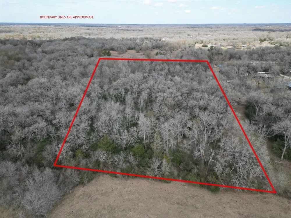 1649 Stone Street Bedias, TX 77831
