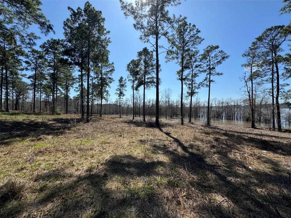 3 Fm 83 Broaddus, TX 75929