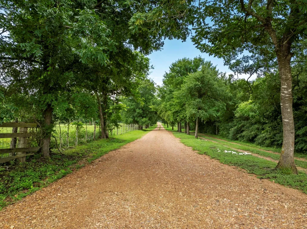 202 Blackberry Lane Washington, TX 77880