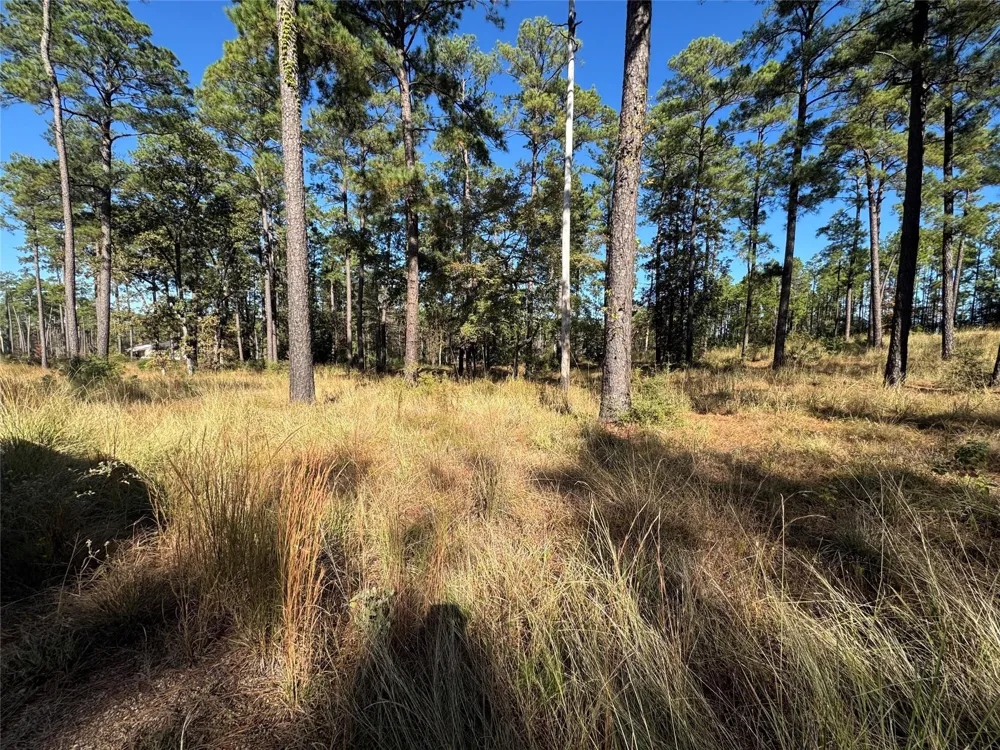 61 Private Road 6026 Brookeland, TX 75931