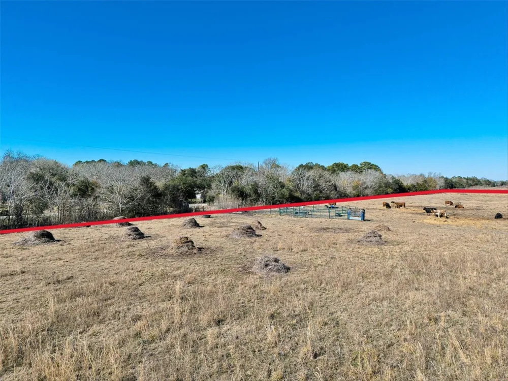 County Road 167 Alvin, TX 77511