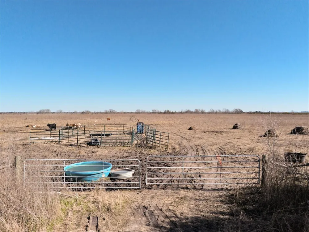 County Road 167 Alvin, TX 77511