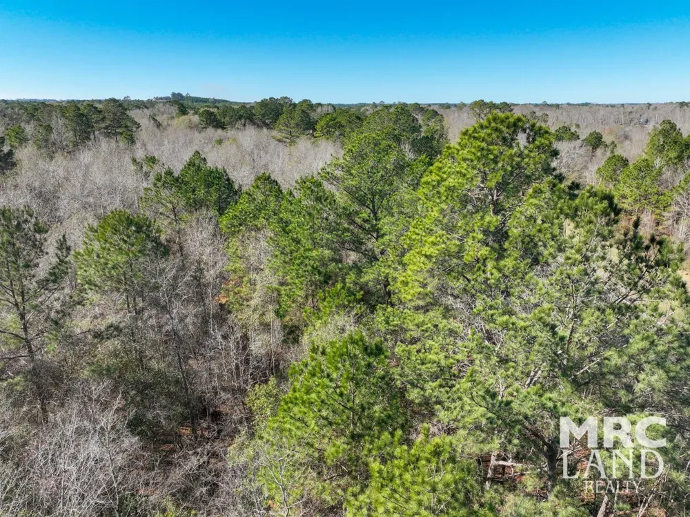 Recreational Road 255 Colmesneil, TX 75938