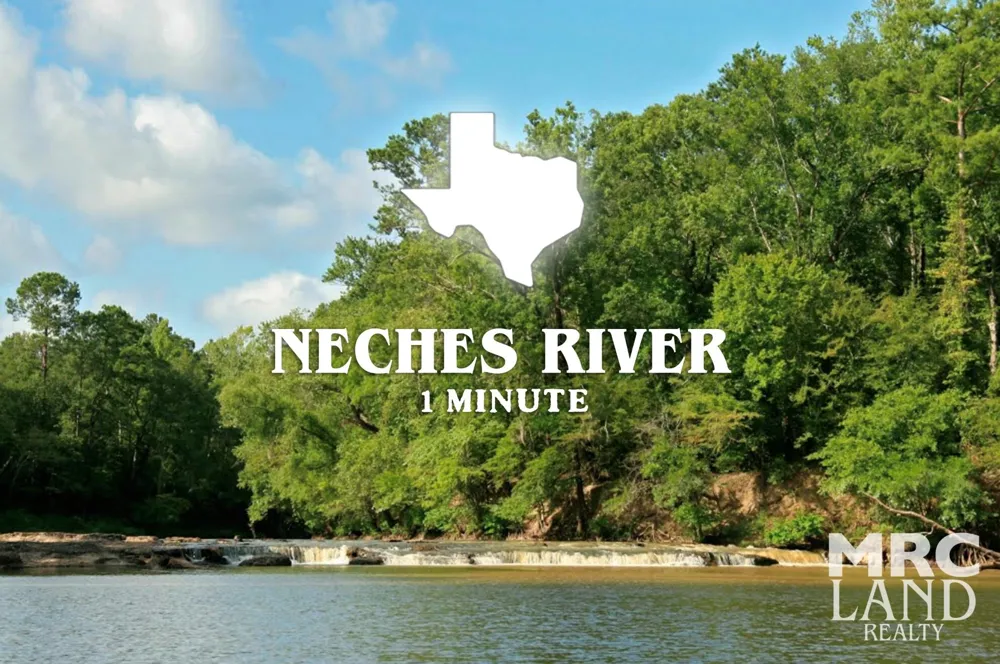 Recreational Road 255 Colmesneil, TX 75938