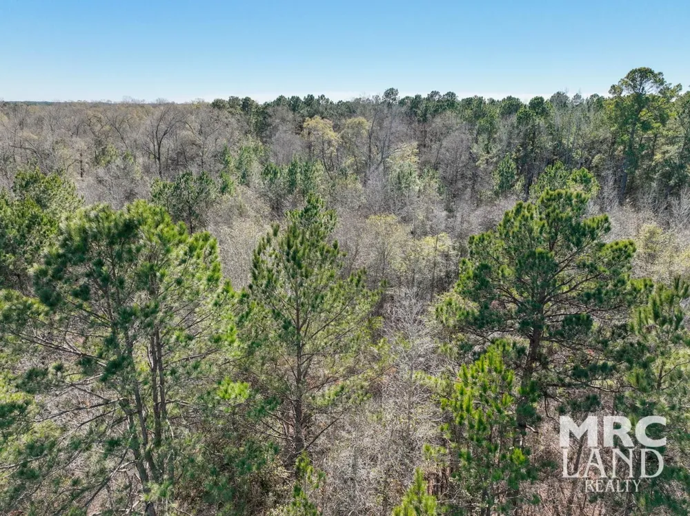 Recreational Road 255 Colmesneil, TX 75938