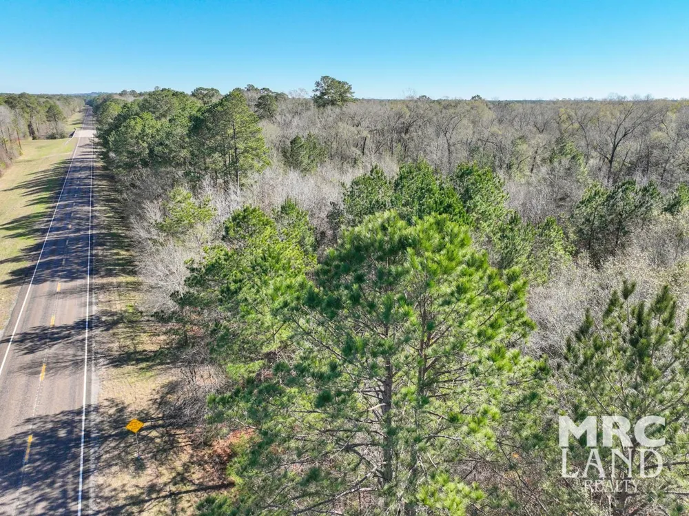 Recreational Road 255 Colmesneil, TX 75938