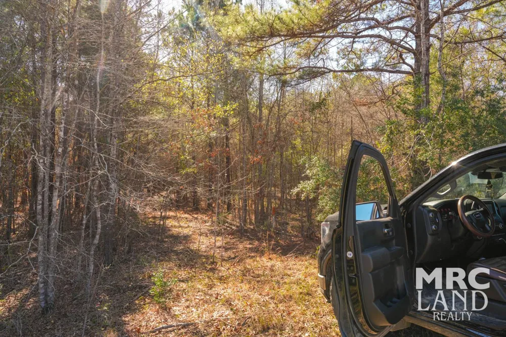 Recreational Road 255 Colmesneil, TX 75938
