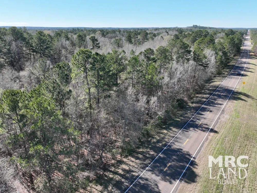 Recreational Road 255 Colmesneil, TX 75938