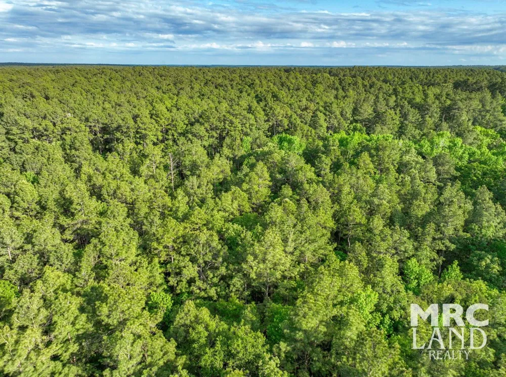 Farm To Market 357 Kennard, TX 75847