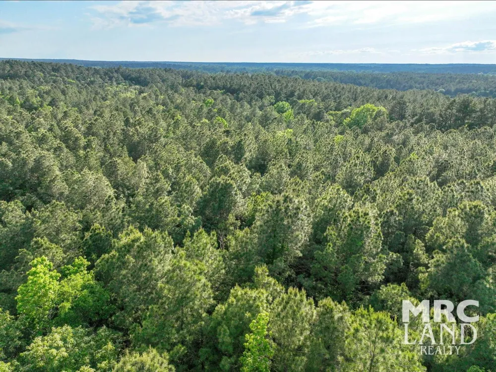Farm To Market 357 Kennard, TX 75847