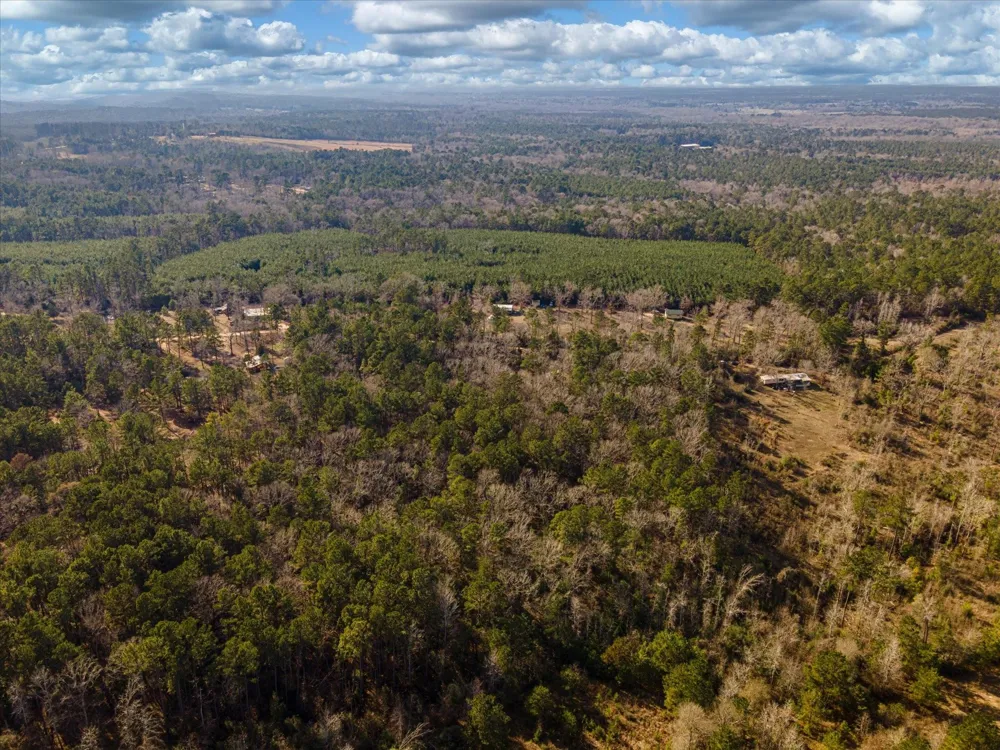 462 County Road 1172 Kennard, TX 75847