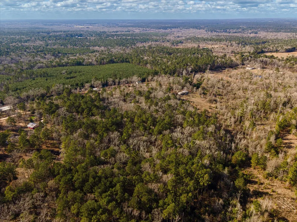462 County Road 1172 Kennard, TX 75847