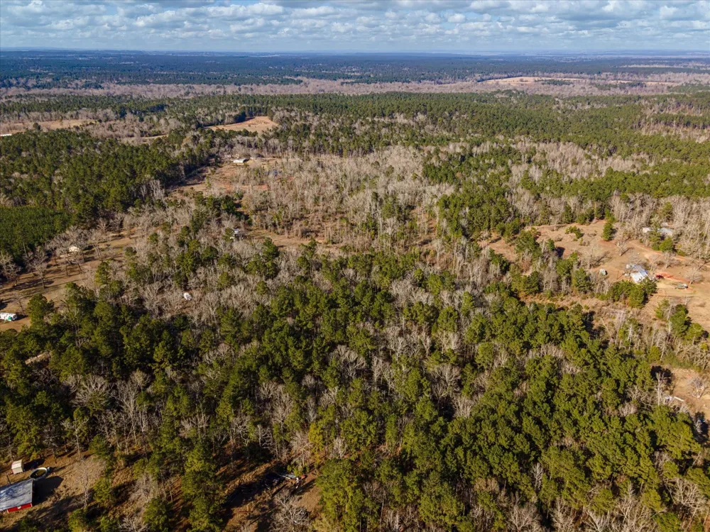 462 County Road 1172 Kennard, TX 75847