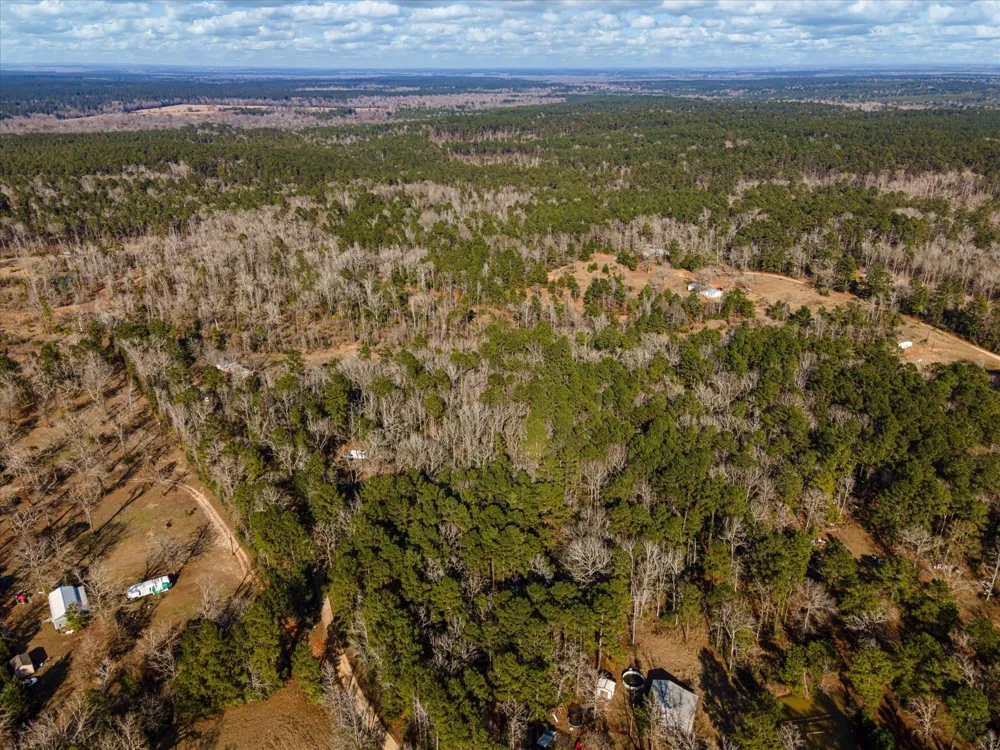 462 County Road 1172 Kennard, TX 75847