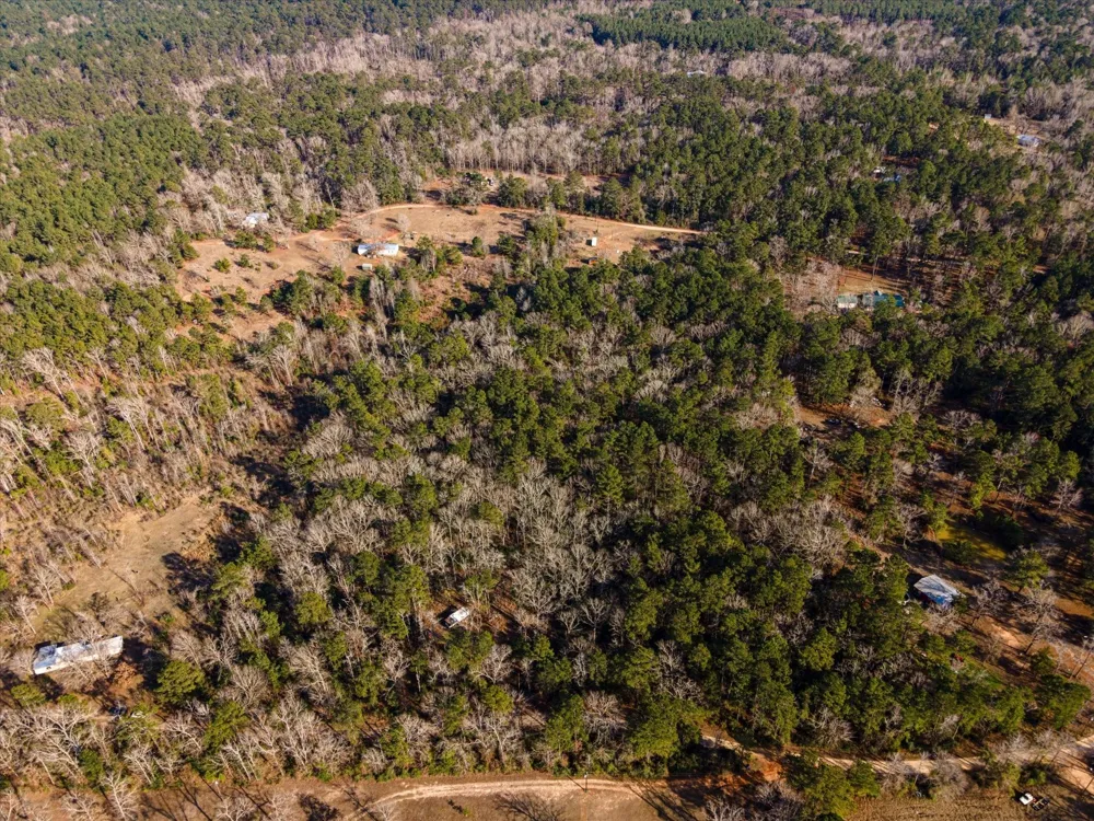 462 County Road 1172 Kennard, TX 75847