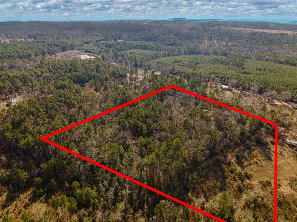 462 County Road 1172 Kennard, TX 75847