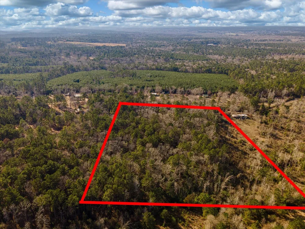 462 County Road 1172 Kennard, TX 75847