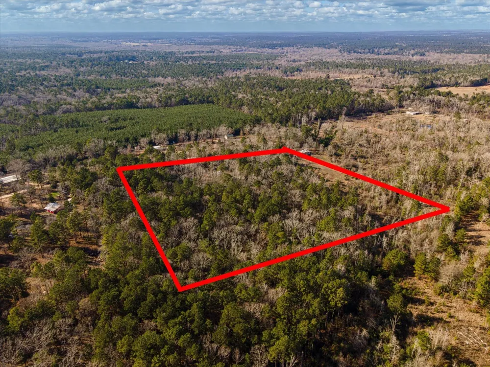462 County Road 1172 Kennard, TX 75847