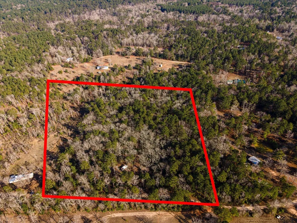 462 County Road 1172 Kennard, TX 75847
