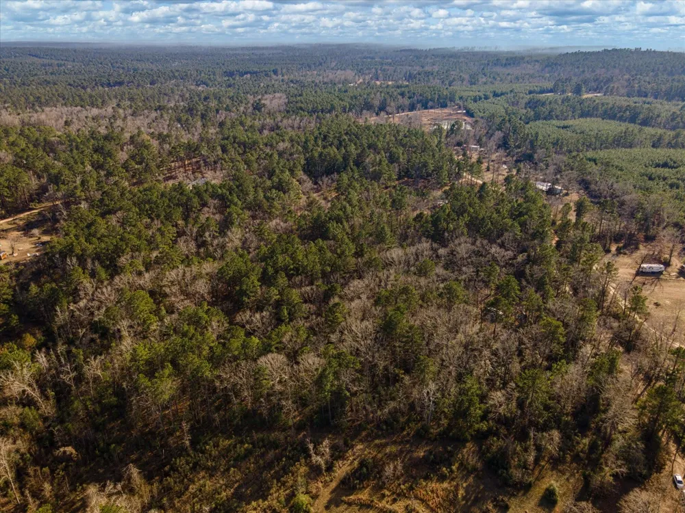 462 County Road 1172 Kennard, TX 75847