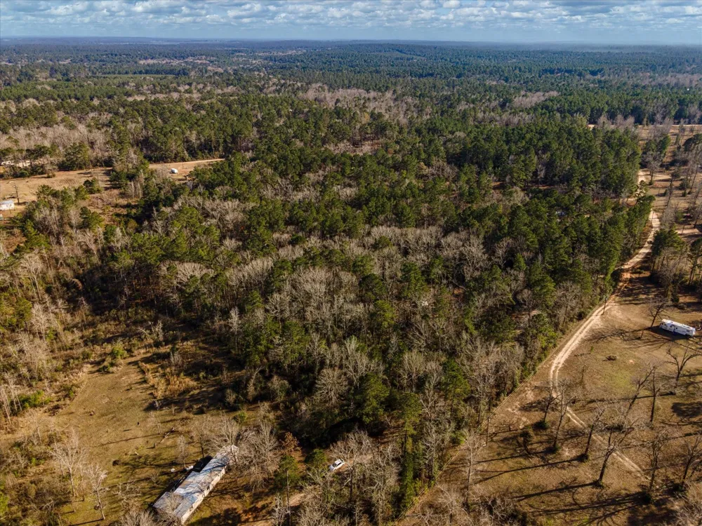 462 County Road 1172 Kennard, TX 75847