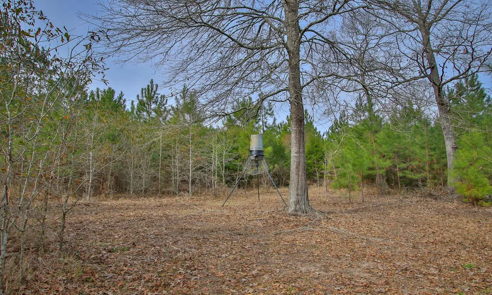 495 Pinecrest Drive Point Blank, TX 77364