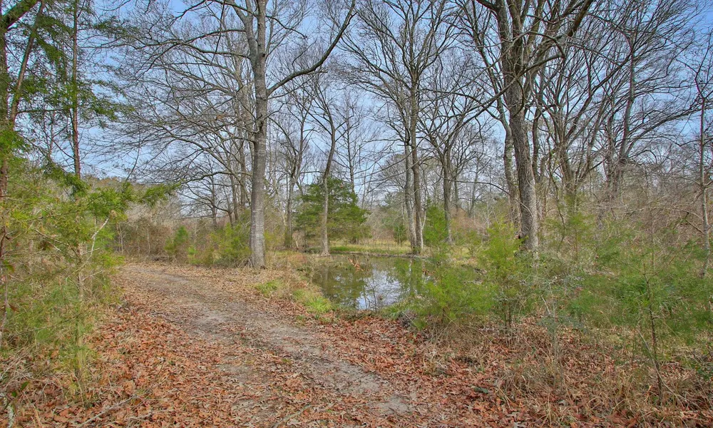 495 Pinecrest Drive Point Blank, TX 77364