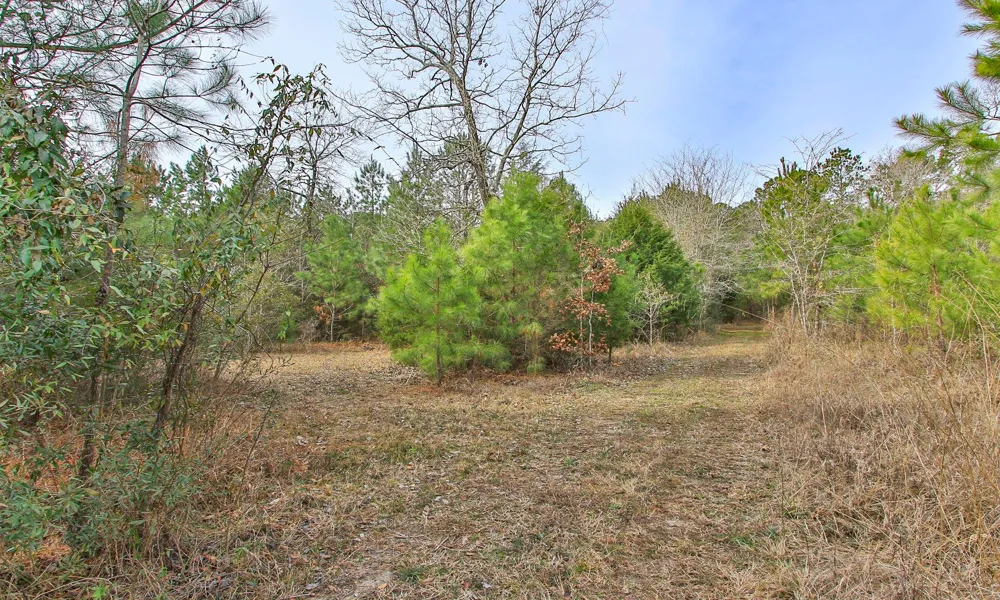 495 Pinecrest Drive Point Blank, TX 77364