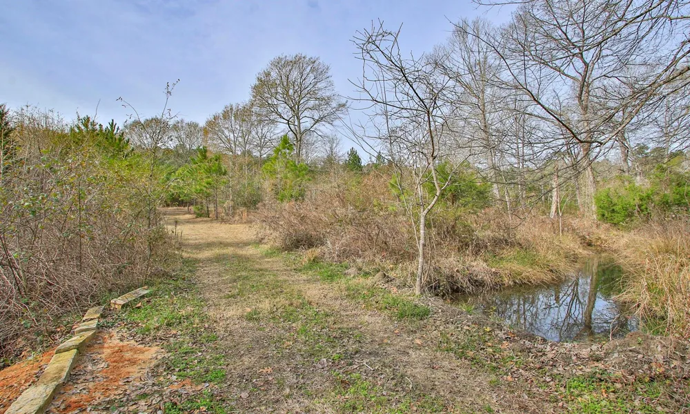 495 Pinecrest Drive Point Blank, TX 77364