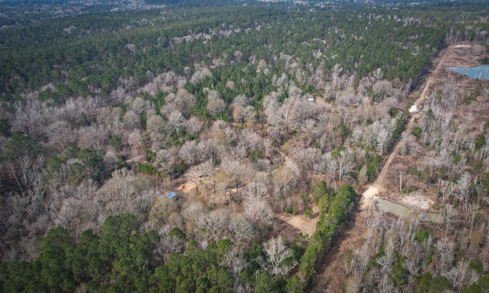 495 Pinecrest Drive Point Blank, TX 77364
