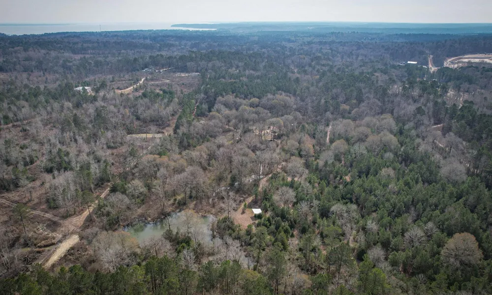 495 Pinecrest Drive Point Blank, TX 77364
