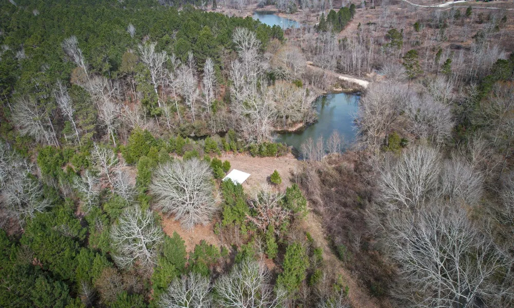495 Pinecrest Drive Point Blank, TX 77364