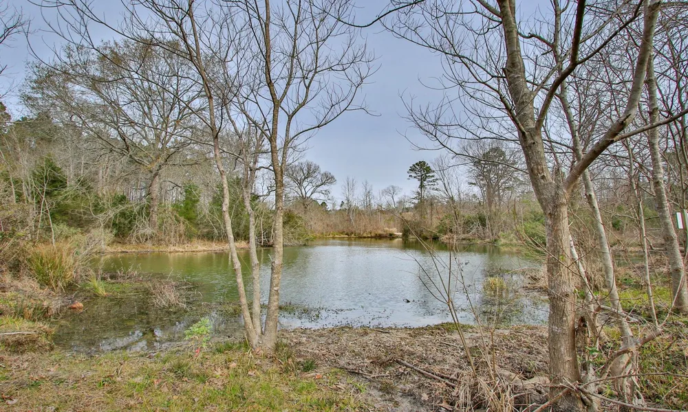 495 Pinecrest Drive Point Blank, TX 77364