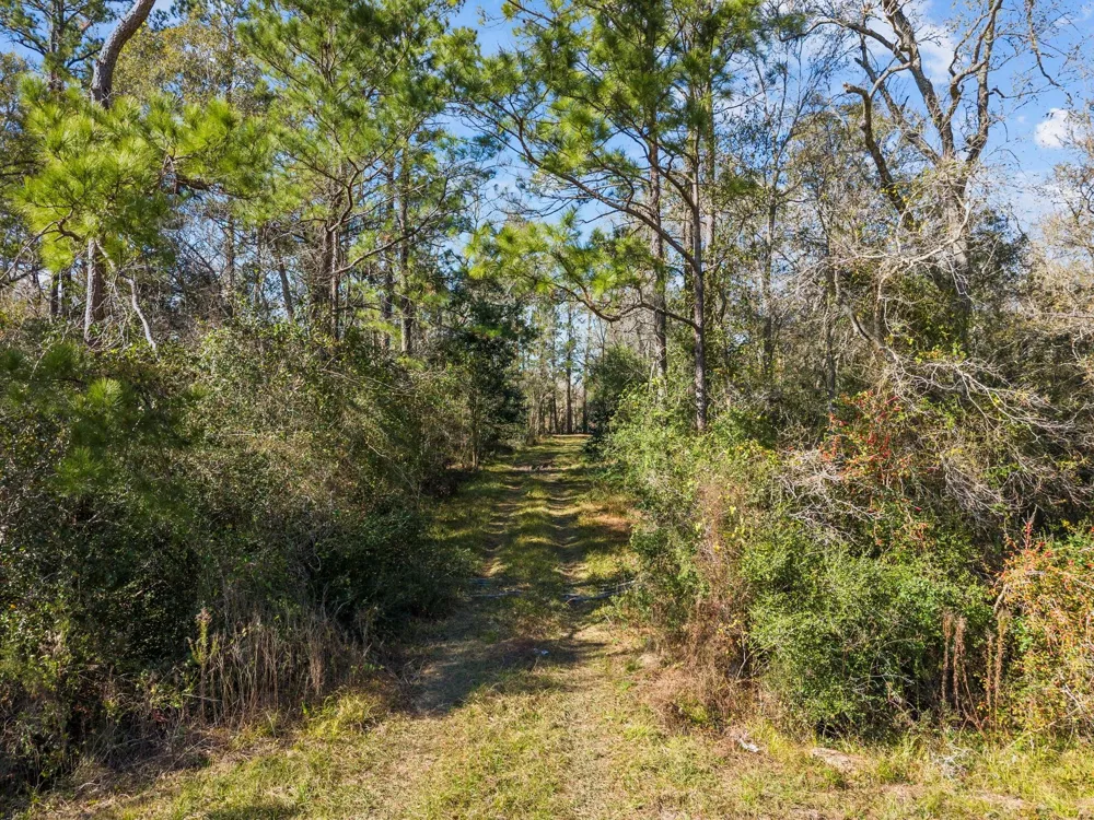 Highway 35 Alvin, TX 77511