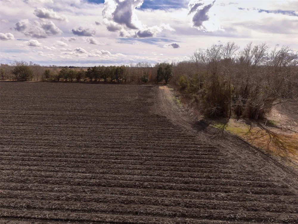 Fm 1952 Wallis, TX 77485
