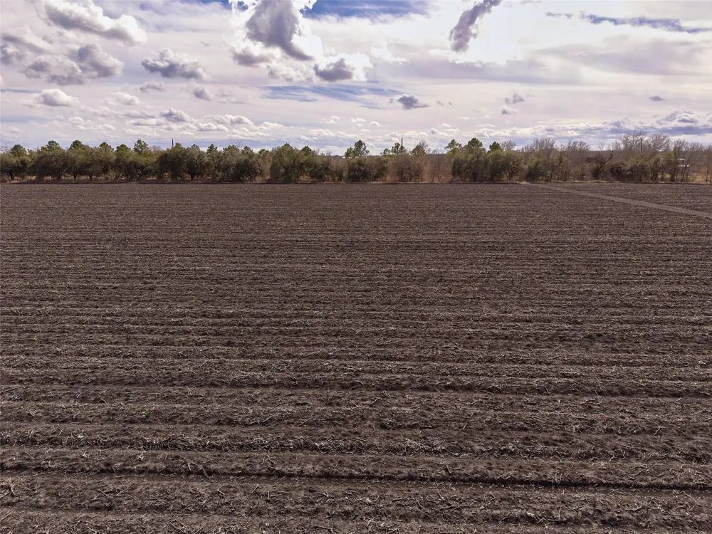 Fm 1952 Wallis, TX 77485