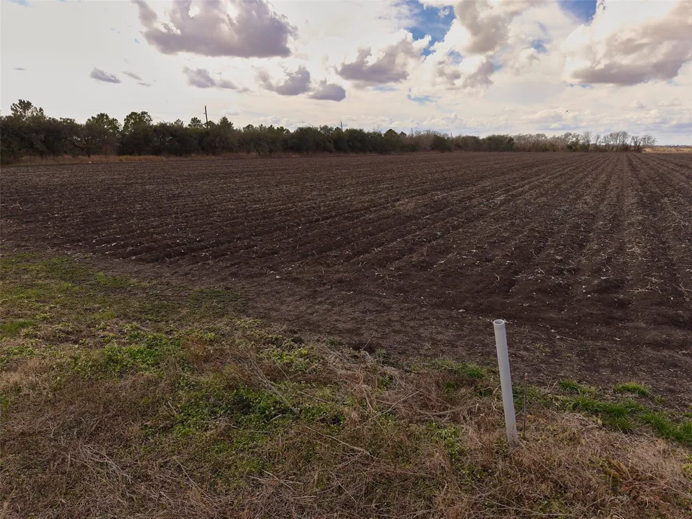 Fm 1952 Wallis, TX 77485