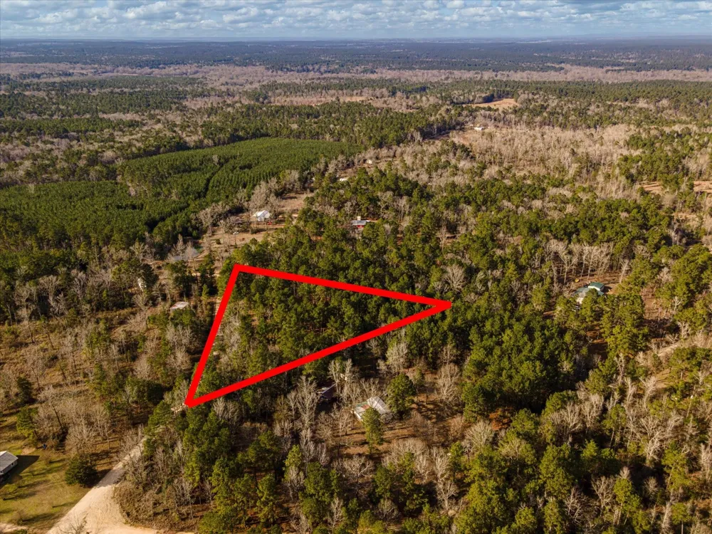 County Road 1172 Kennard, TX 75858