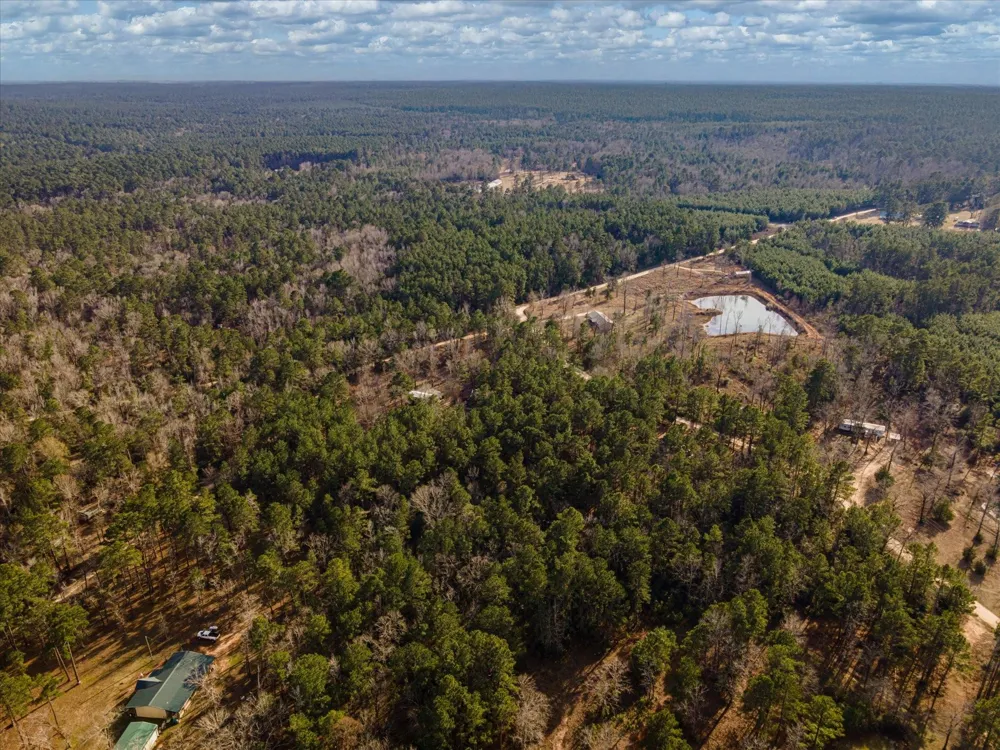 County Road 1172 Kennard, TX 75858