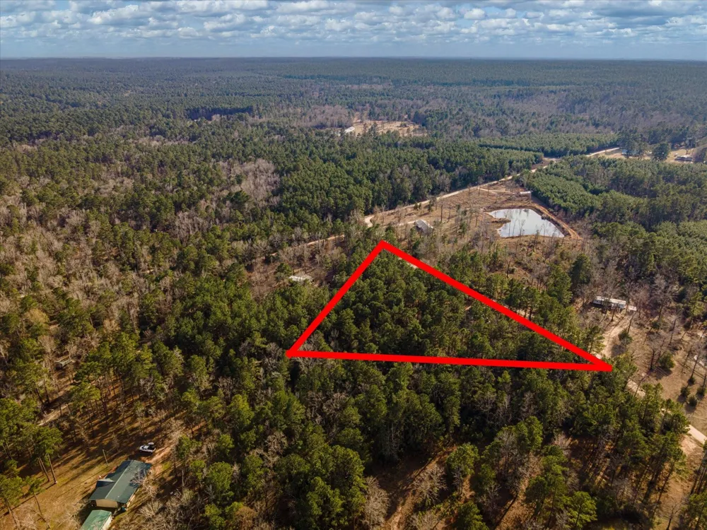 County Road 1172 Kennard, TX 75858