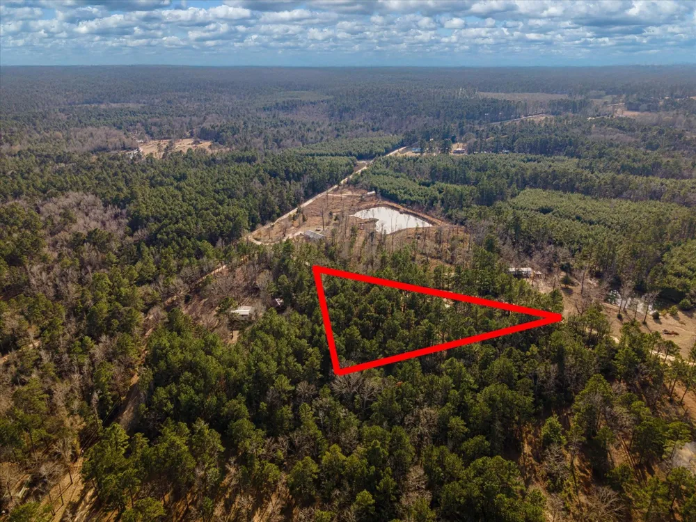 County Road 1172 Kennard, TX 75858