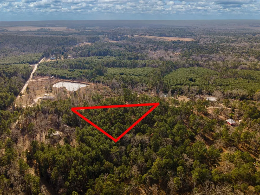County Road 1172 Kennard, TX 75858