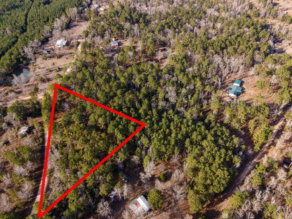 County Road 1172 Kennard, TX 75858