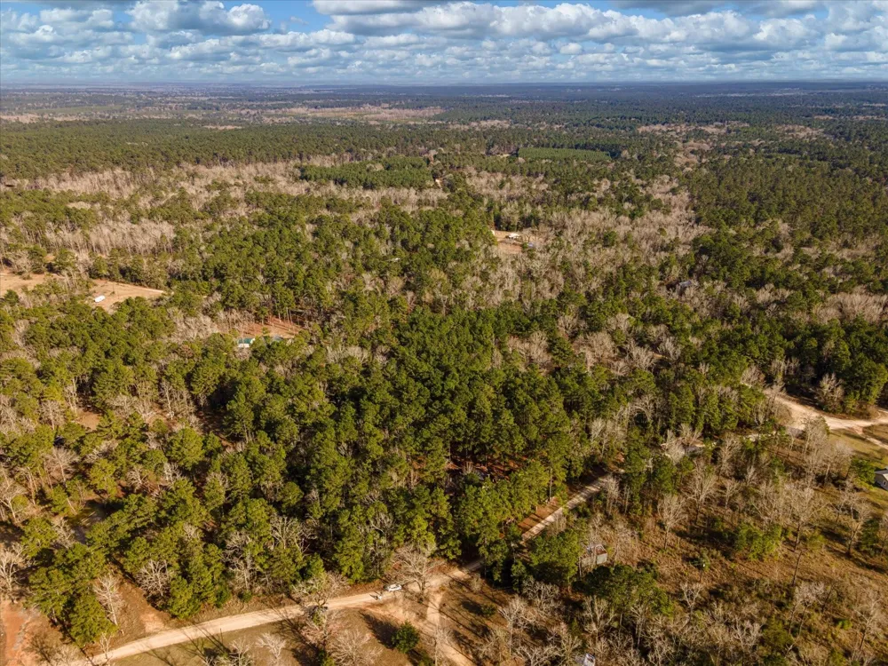 County Road 1172 Kennard, TX 75858